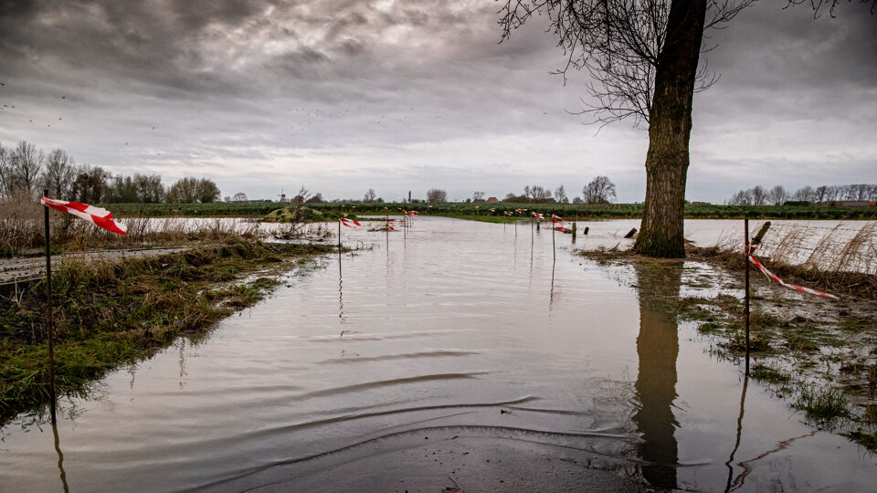 In West-Vlaanderen zorgde de novemberregen voor wateroverlast. Voor het grondwaterpeil was ze echter goed nieuws.