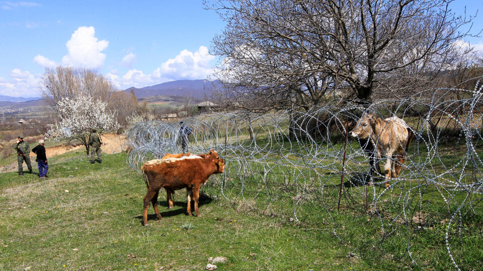 Niet alleen mensen worden getroffen door de Russische praktijken.