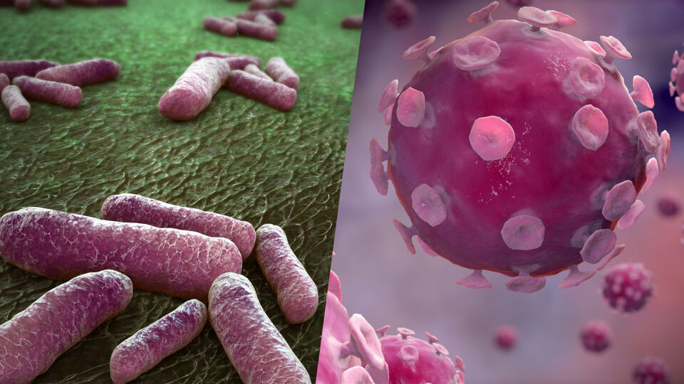 1,2 miljoen overlijdens door bacteriën die bestand zijn tegen