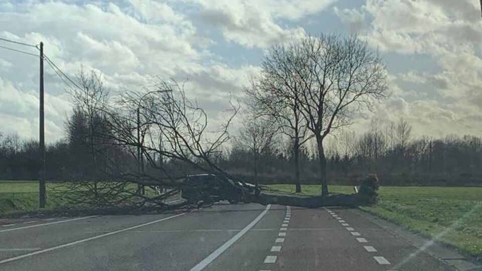 De Verbindingslaan tussen Kortessem en Diepenbeek is afgesloten. (Foto: Sharlene Billen)