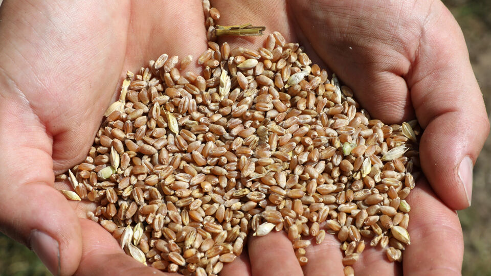 Archiefbeeld ter illustratie.