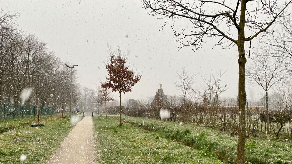 Sneeuw in Sint-Katelijne-Waver (foto Christel Schoepen)