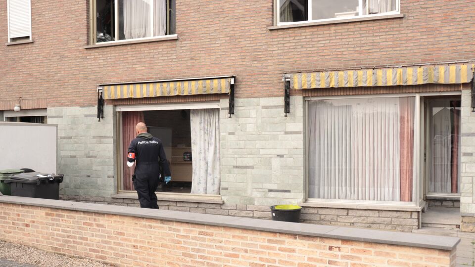 Onder meer in Aaigem (Erpe-Mere) werd een cannabisplantage opgerold. Maar ook in Wervik en Gent zijn plantages gevonden.