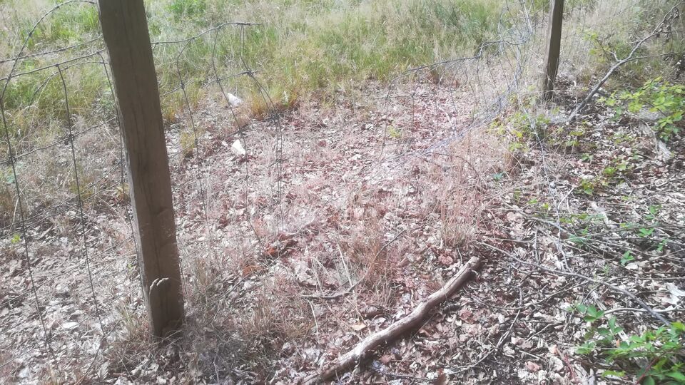 © Natuurpunt Kievit