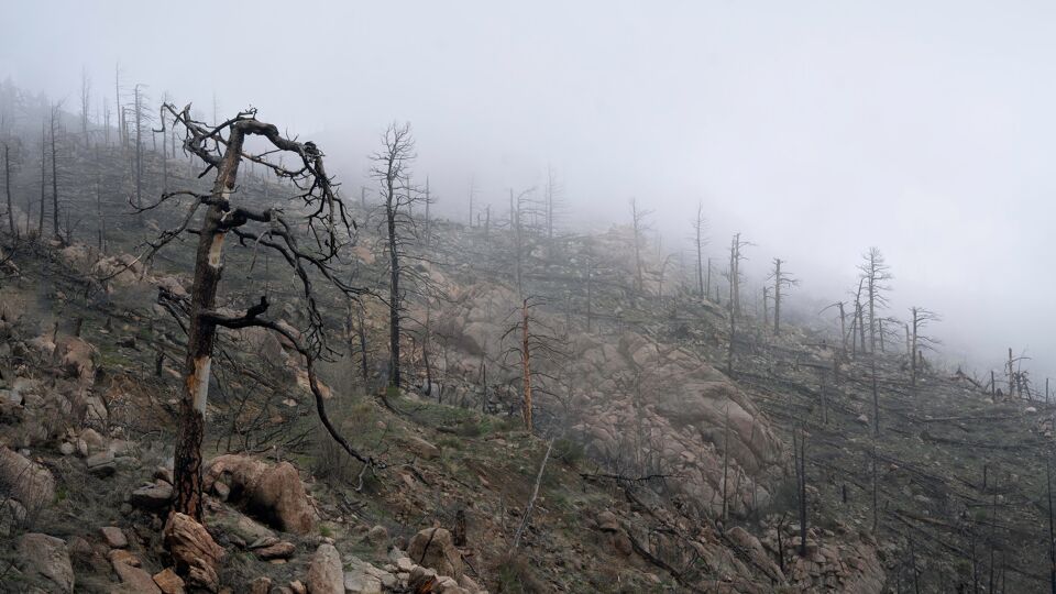 Photo by Intricate Explorer