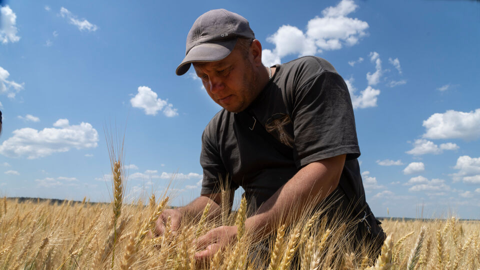 Een Oekraïense boer bij zijn oogst in de regio Donetsk.