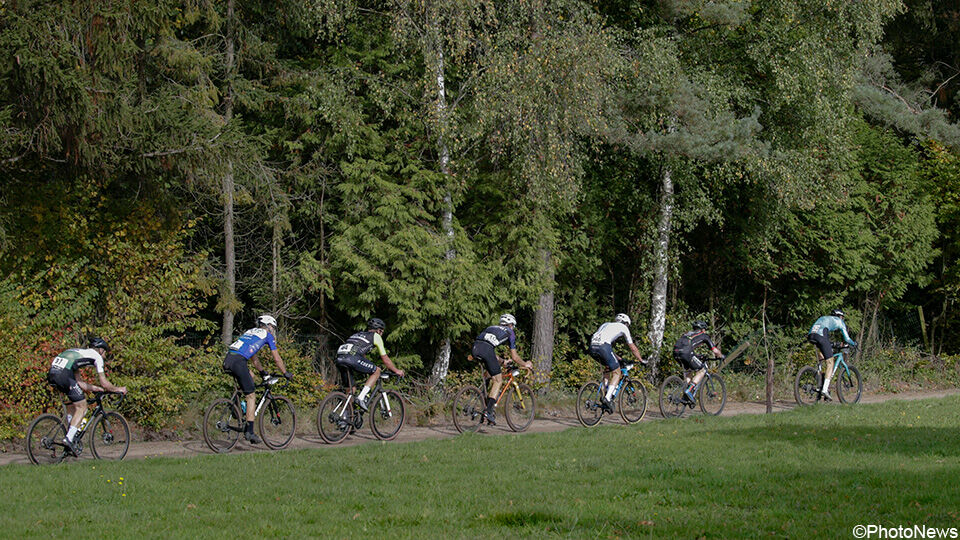 Enkele renners rijden op hun gravelbike over een onverharde bosweg langs een rij bomen.