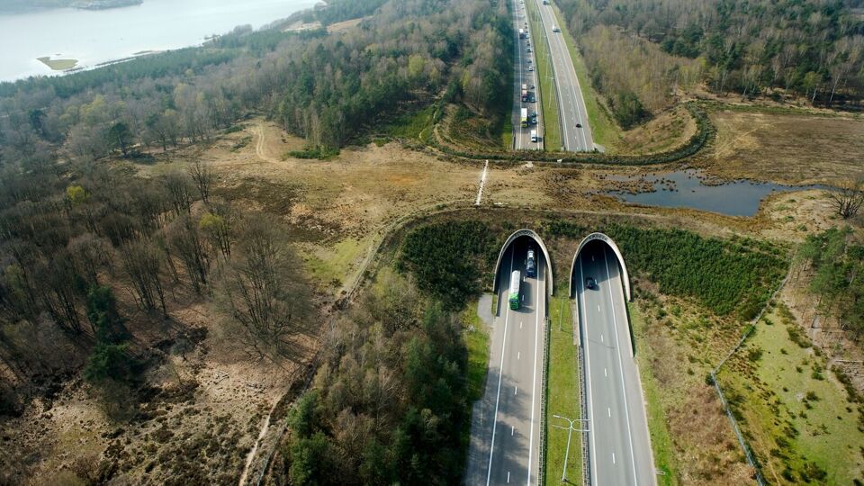 Vlaanderen start dit najaar met de aanleg van ecoducten in Lommel en Oudsbergen VRT NWS nieuws