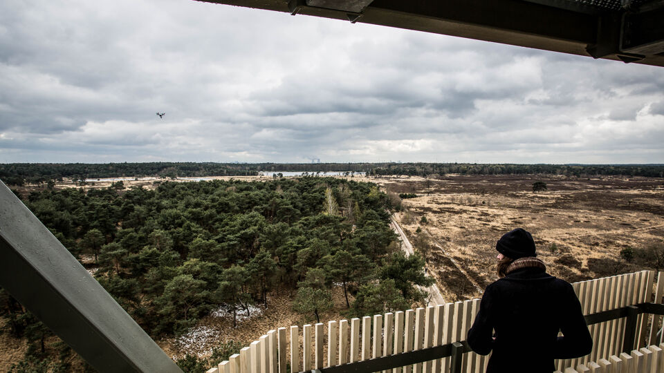 Wuustwezel Tegen Kandidatuur Kalmthoutse Heide Als Nationaal Park Te Veel Onduidelijkheid Voor