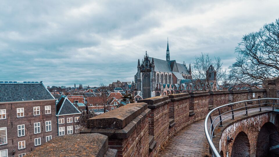 Nederland wil aantal buitenlandse studenten beperken | VRT NWS: nieuws