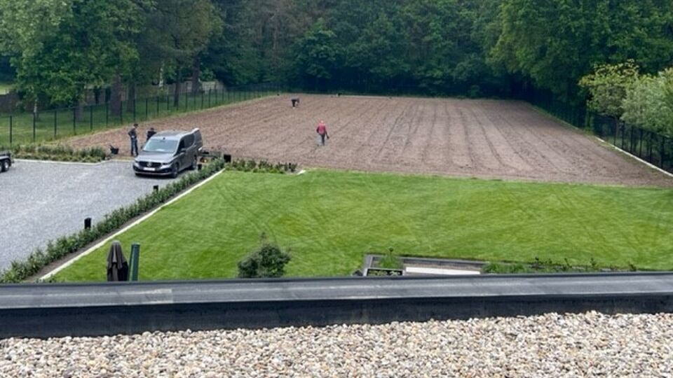 Restaurant Modest in Oudsbergen start met eigen wijngaard VRT NWS nieuws