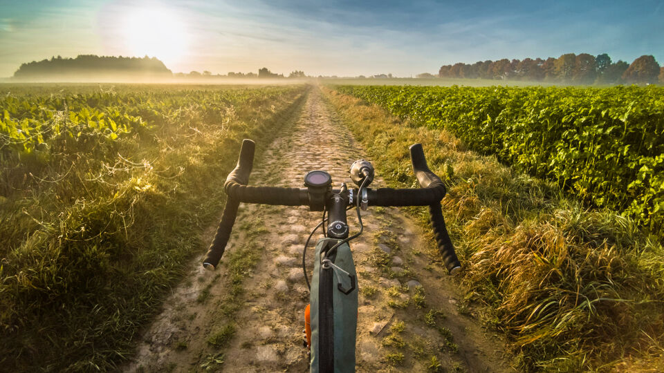 Organisatie "Dwars Door Het Hageland Gravel" Roept Deelnemers Op Zich ...