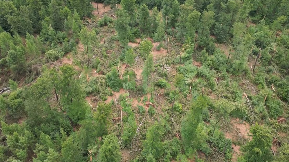 (c) Twitter Maarten Reyniers