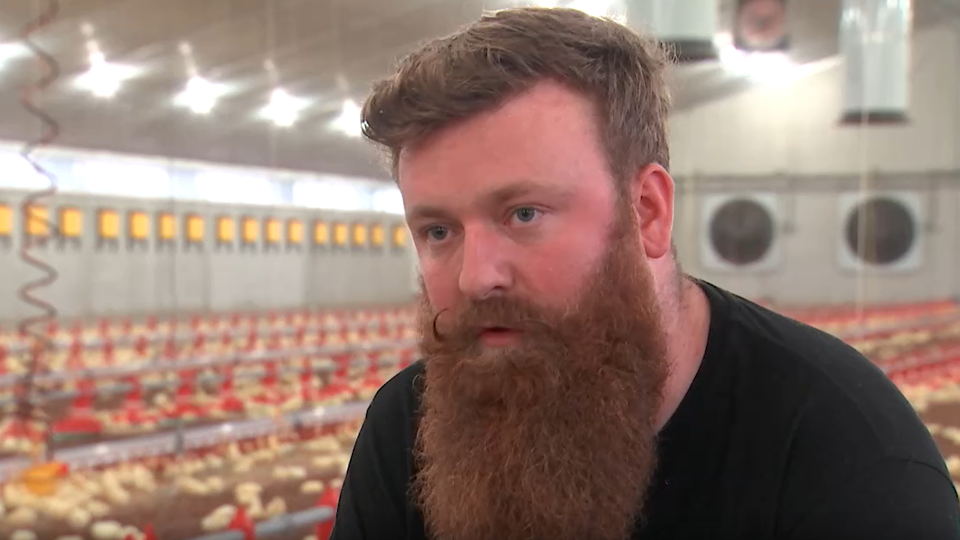 Kempense kippenboer Bart staat op rode lijst maar is sceptisch over ...