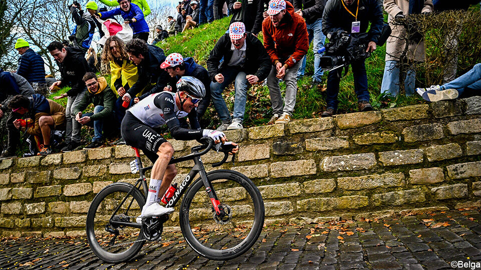 Tim Wellens mag in de Ronde van Vlaanderen voor eigen rekening rijden.