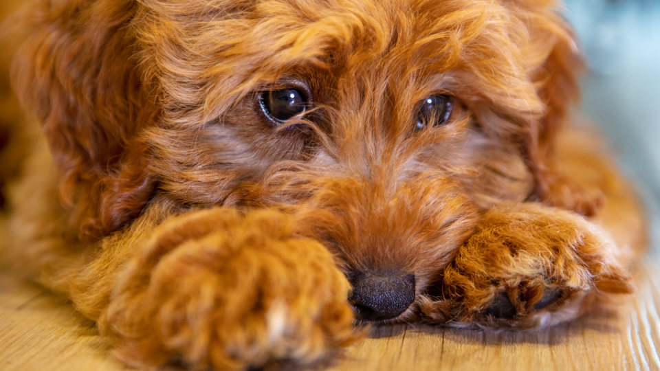 Archiefbeeld ter illustratie