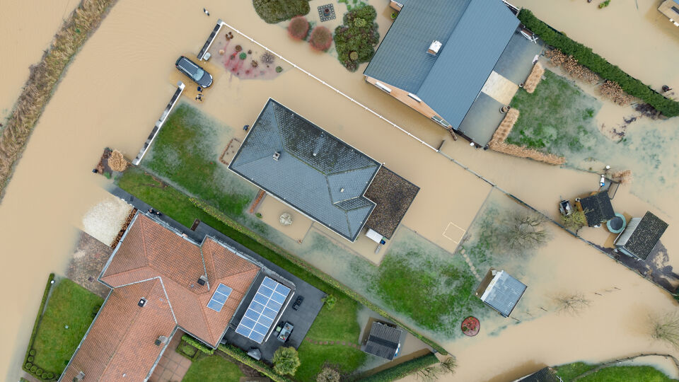 Detailbeeld van Zandbergen (Geraardsbergen), eergisteren. 