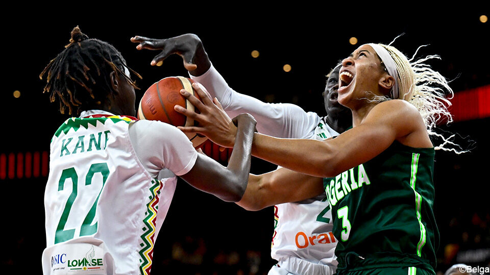 Senegal en Nigeria speelden vorig jaar nog tegen elkaar in de finale van het Afrikaans kampioenschap.