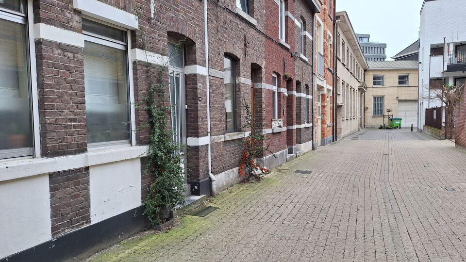 Straat in centrum van Hasselt krijgt karrenspoor, struiken ...