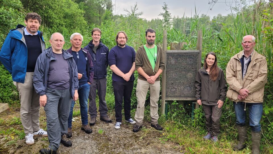 Natuurpunt opent reservaat voor wilde bijen in kleiputten van Terhagen ...