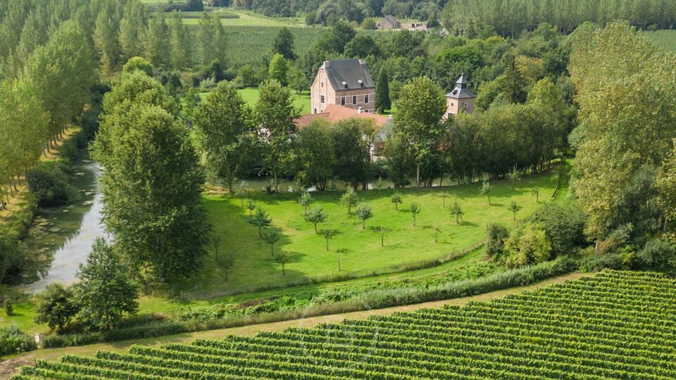 Kasteel Van Binderveld In Nieuwerkerken Staat Te Koop VRT NWS Nieuws kasteel-van-binderveld-in-nieuwerkerken-staat-te-koop-vrt-nws-nieuws