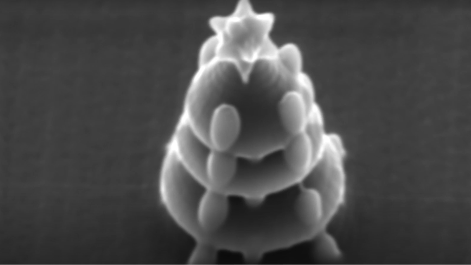 Het 3D-geprinte kerstboompje kan je enkel bewonderen onder de elektronenmicroscoop.