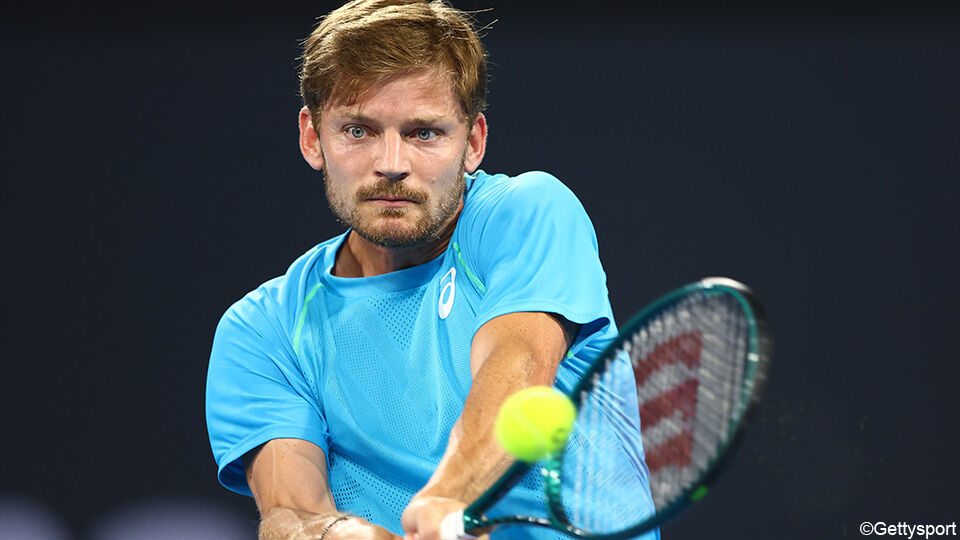 Goffin