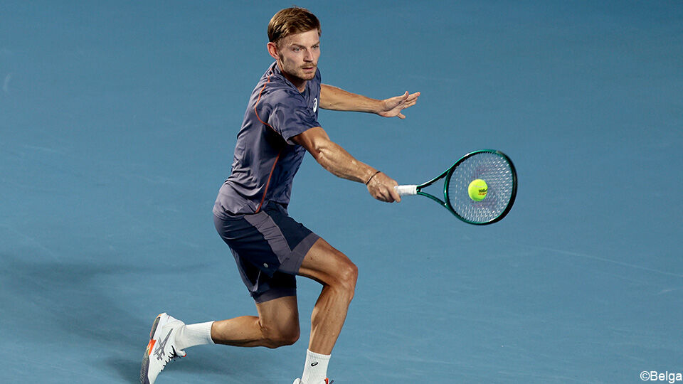 David Goffin