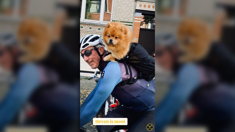 Dirk De Wolf traint met hondje Balou op zijn rug.