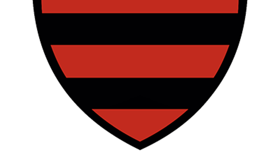 Logo van Flamengo