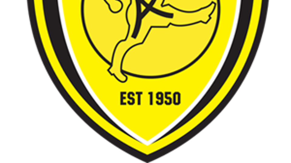 Logo van Burton Albion