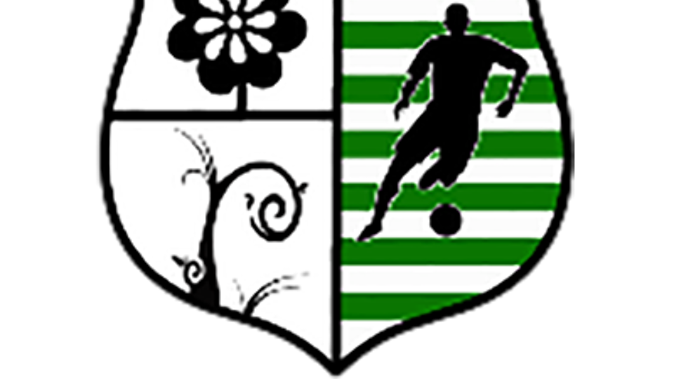 Logo van Achel VV