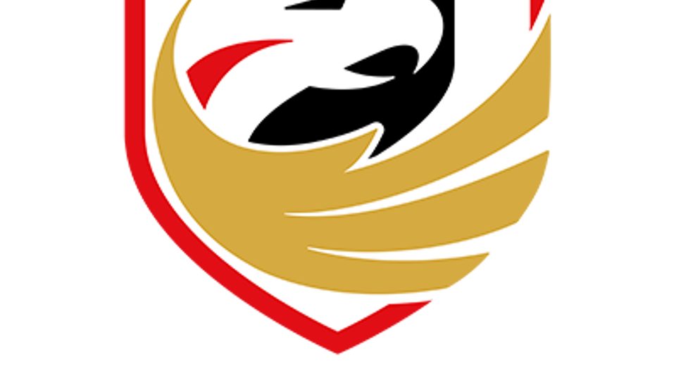 Logo van Tubize-Braine