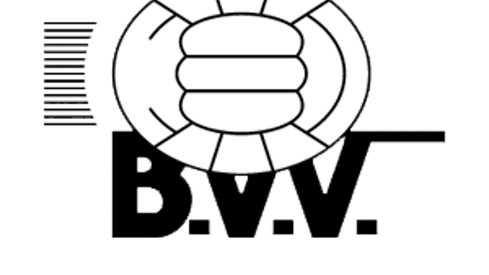 Logo van Bocholter VV