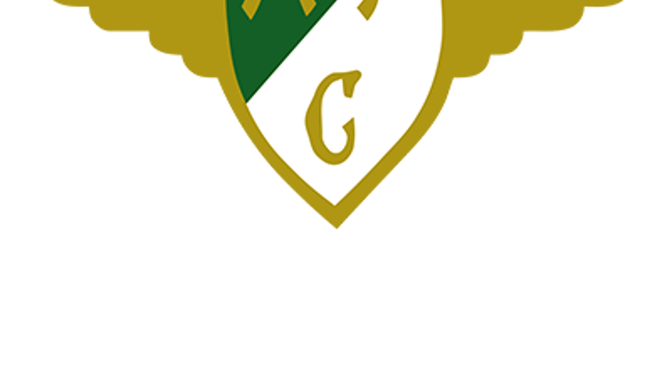 Logo van Moreirense