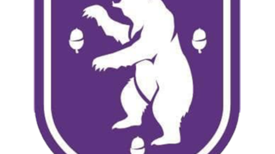 Logo van Beerschot