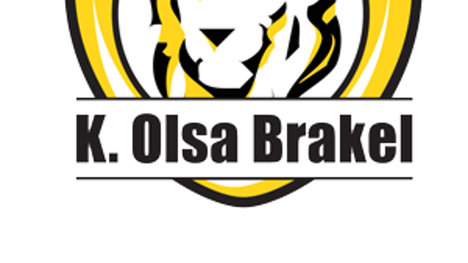 Logo van Olsa Brakel