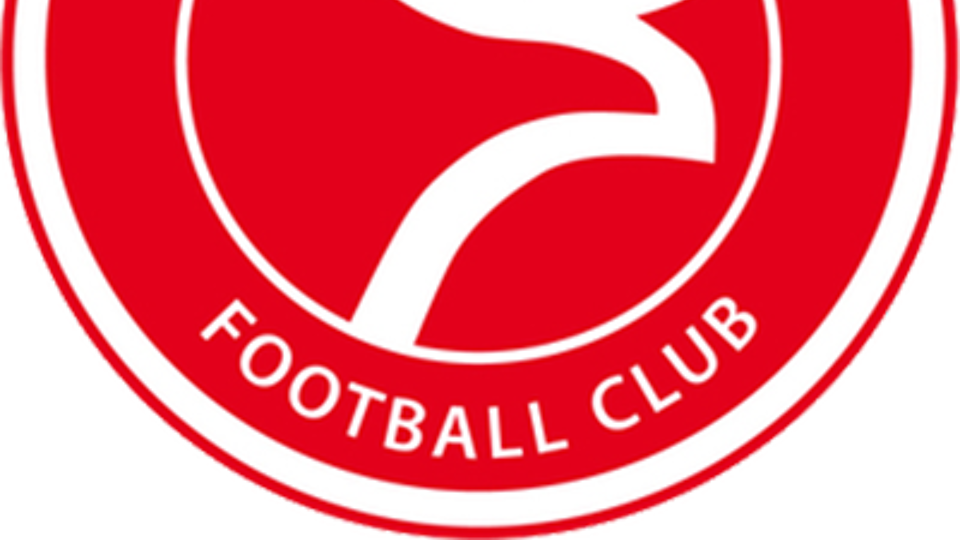 Logo van Almere City FC