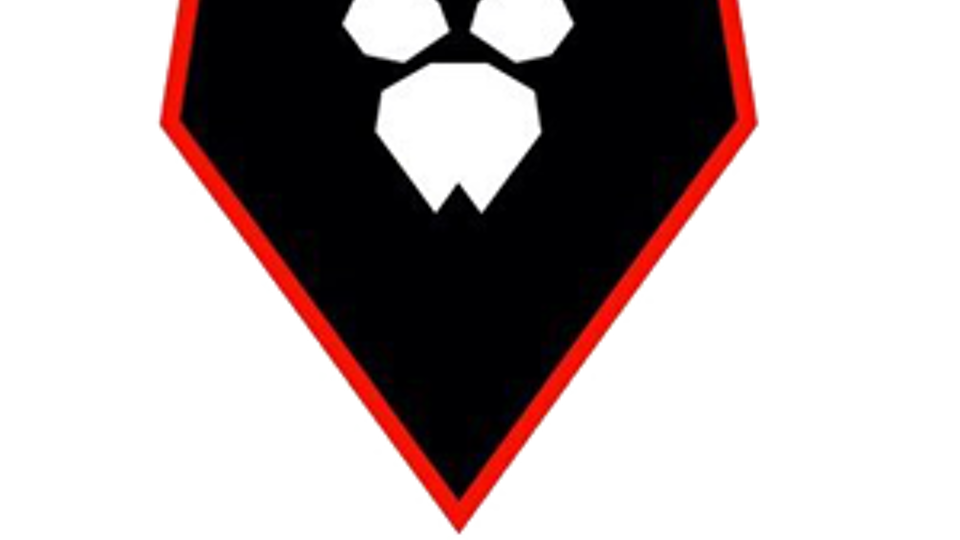 Logo van Salford City