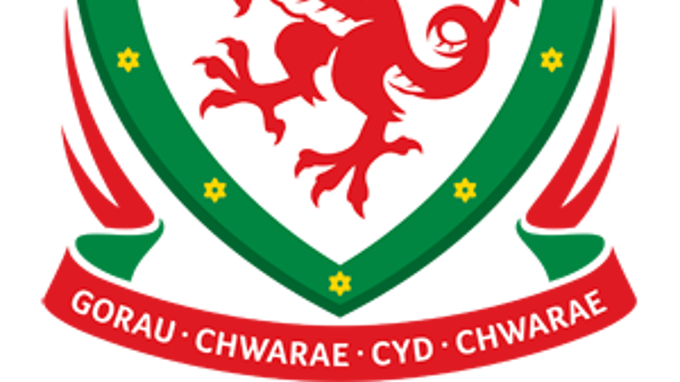 Logo van Wales