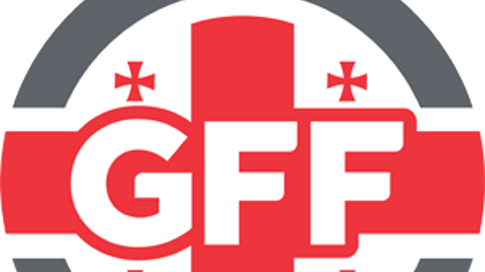 Logo van Georgië