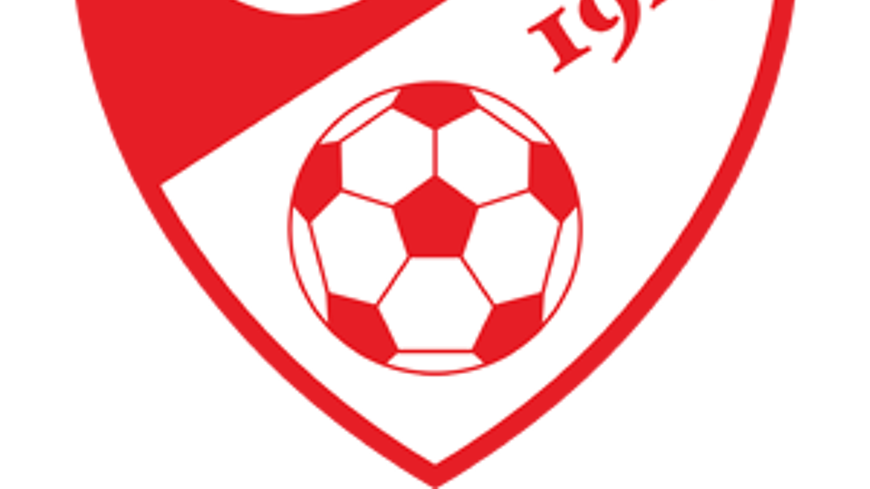 Logo van Turkije