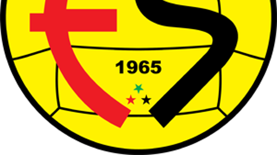 Logo van Eskisehirspor