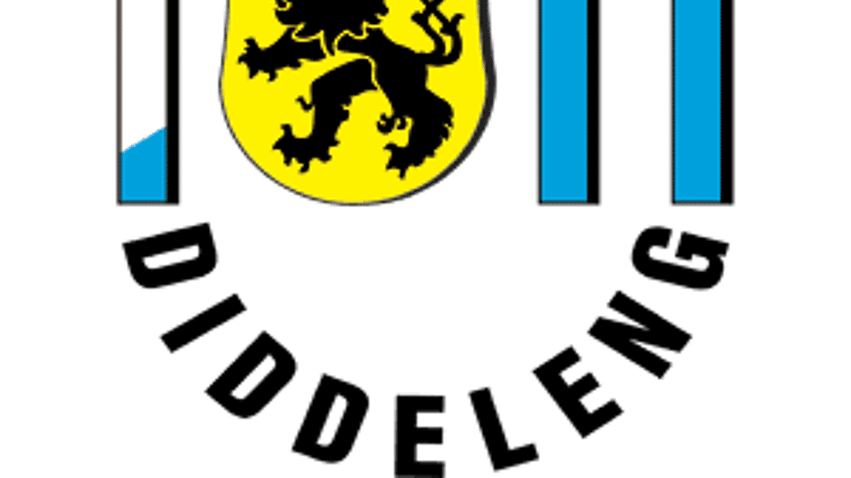 Logo van F91 Diddeleng