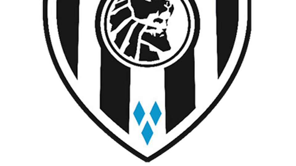 Logo van Heracles Almelo